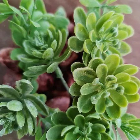 Apartamento Le Scottmanhouse - Privé - Centre - Gare - Wi-fi